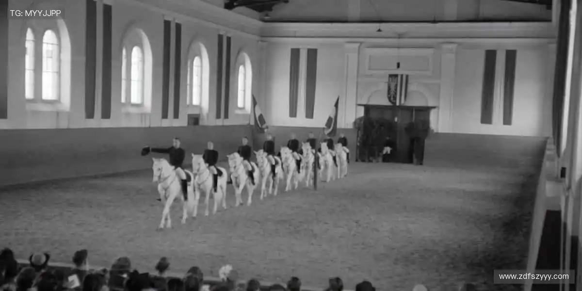 🏀巅峰对决，激情无限！🔥亲临现场，感受心跳加速的体育魅力！